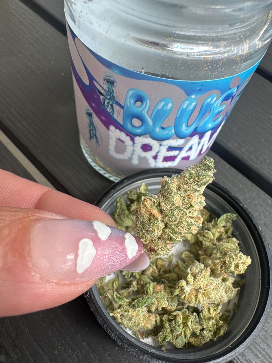 Mota Blue Dream