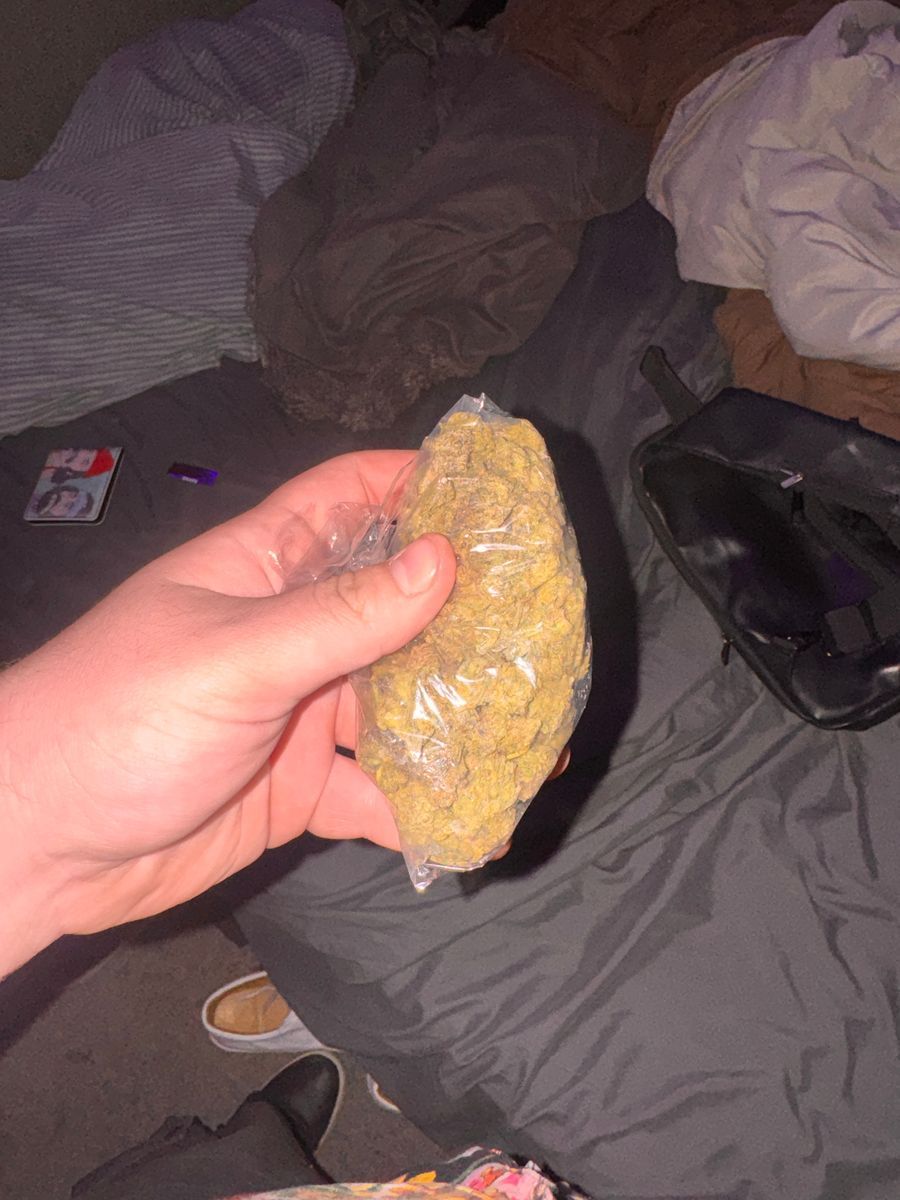 The Plug Ak-47