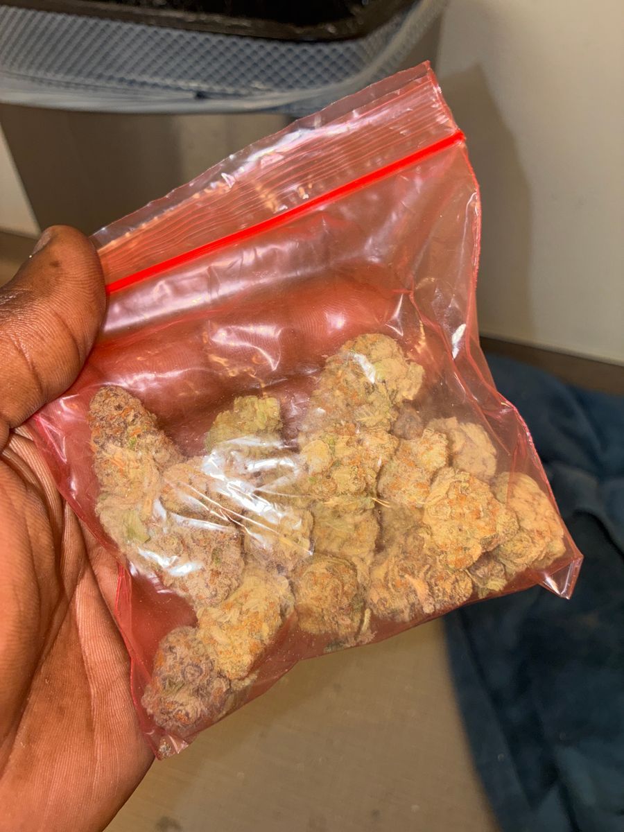 Fruity Ps strain