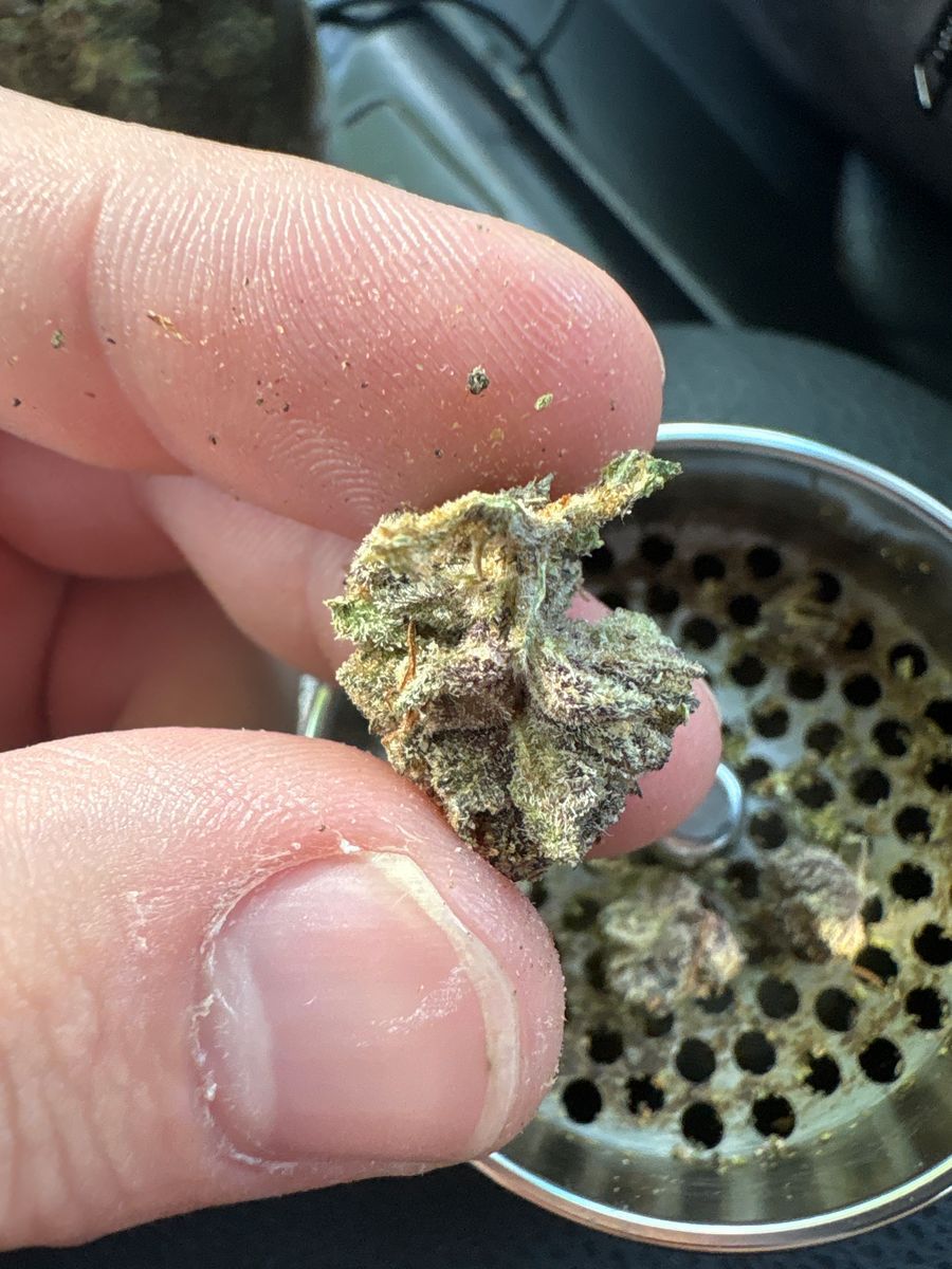 Paul Hills Grill Purple Punch
