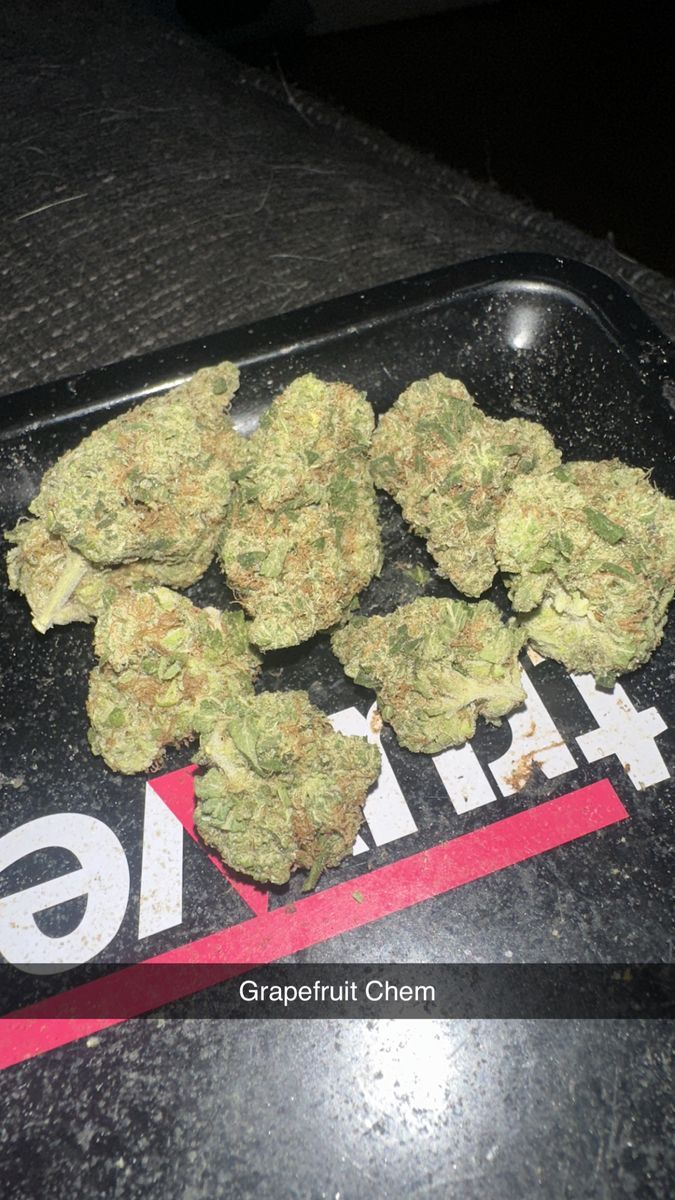 Maine Trees Grapefruit Chem