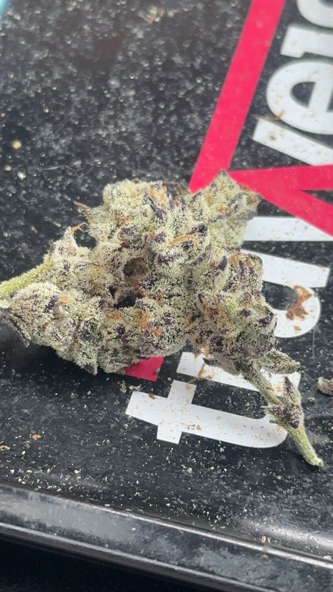 Trichal Meyers strain