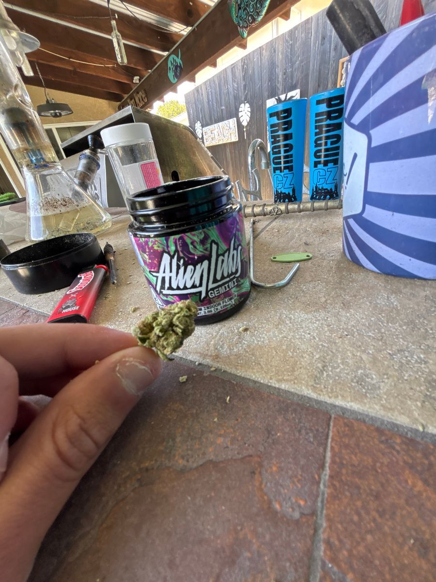 Alien Labs Gemini