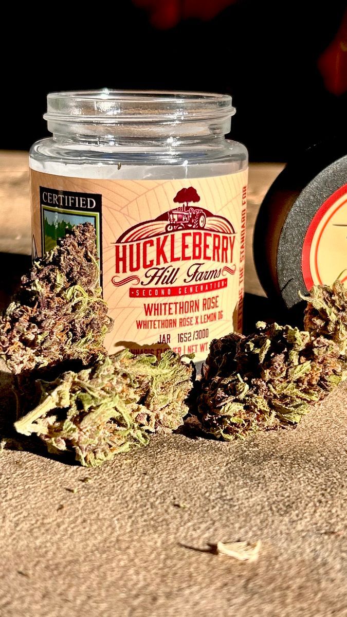 Huckleberry Hills Farms Whitethorn Rose