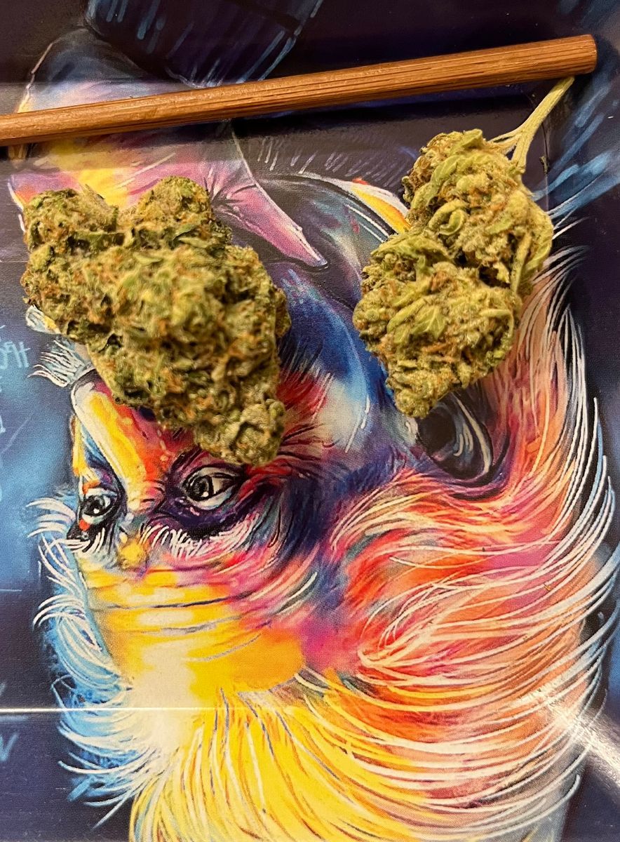 Afghani strain
