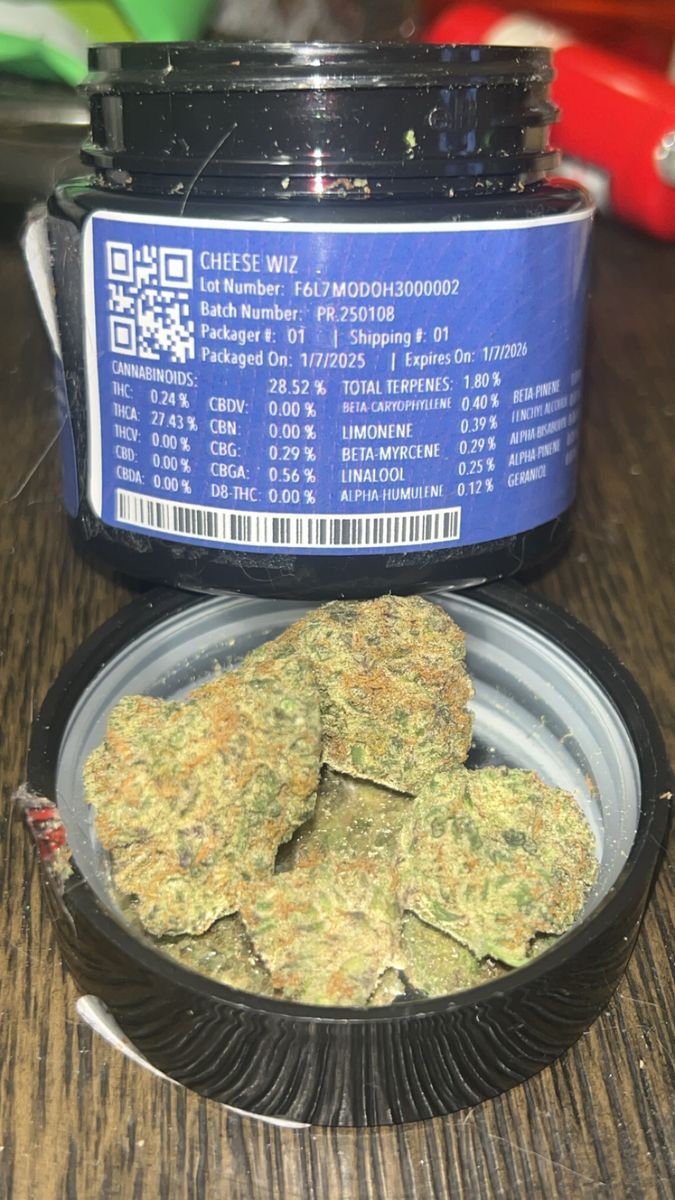 Modern Flower Cheese Wiz