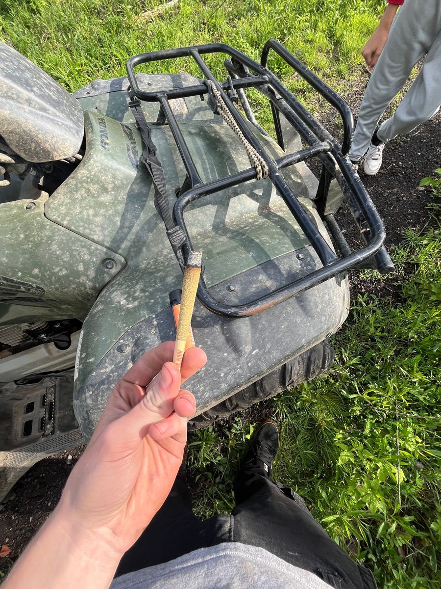 Torch Mango Sherbet