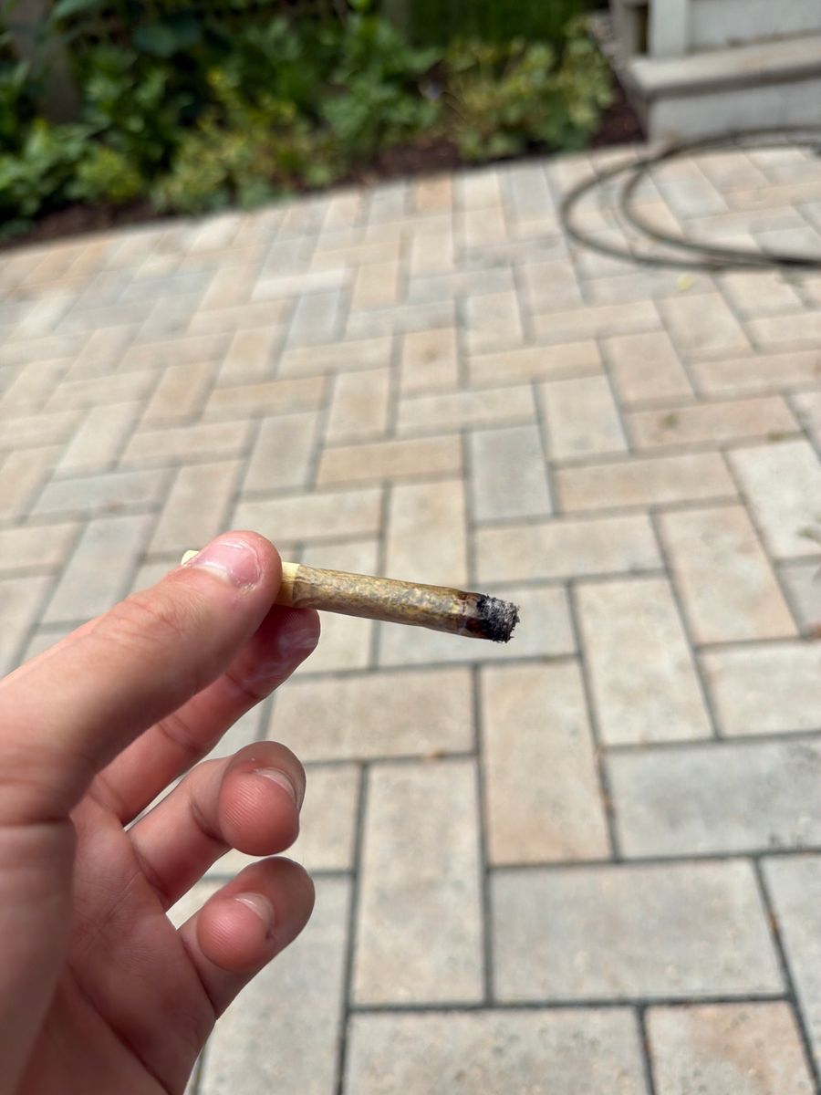 Blaze Craft Cannabis Candy Rain X Gas Station Sushi