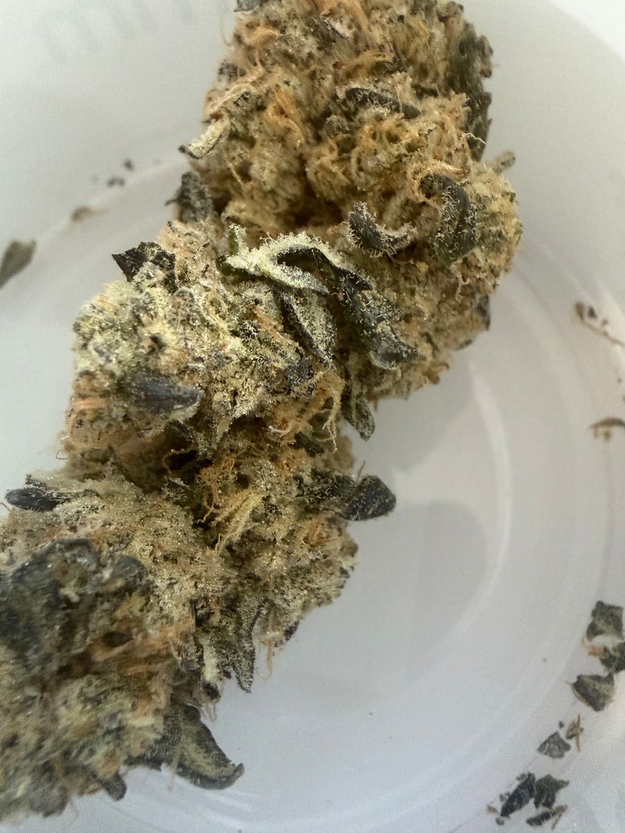 High strain