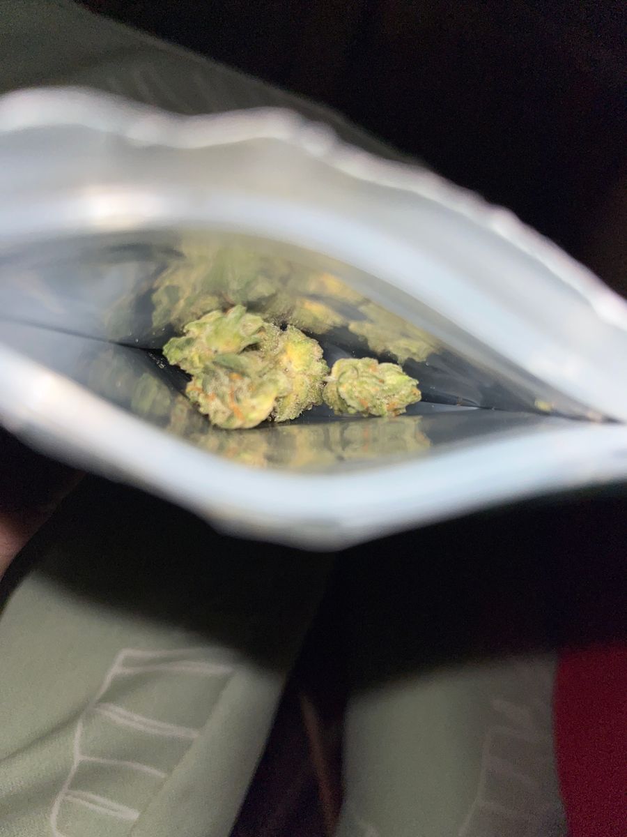 Holler Haze strain
