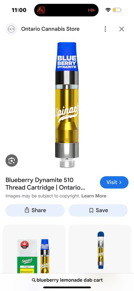 Spinach Blueberry Dynamite