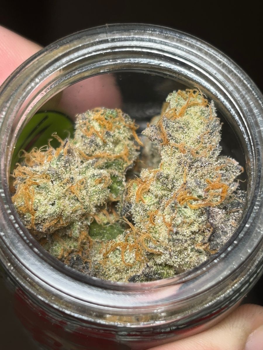 Red Pop strain