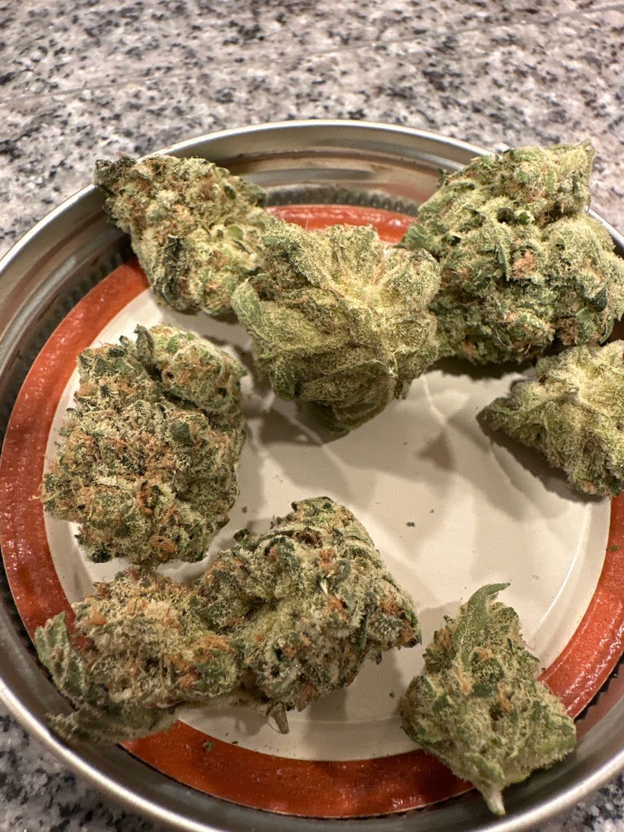 Parmesan strain