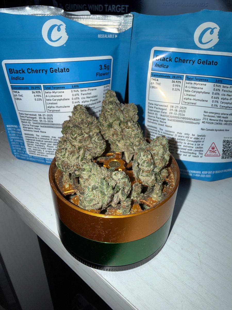 Cookies Black Cherry Gelato