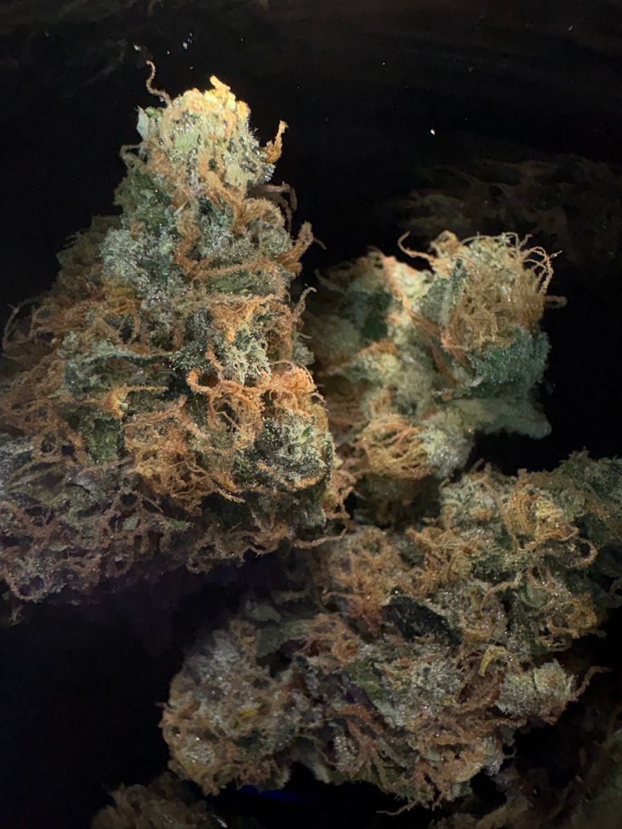 Mopping Terps Farm brand