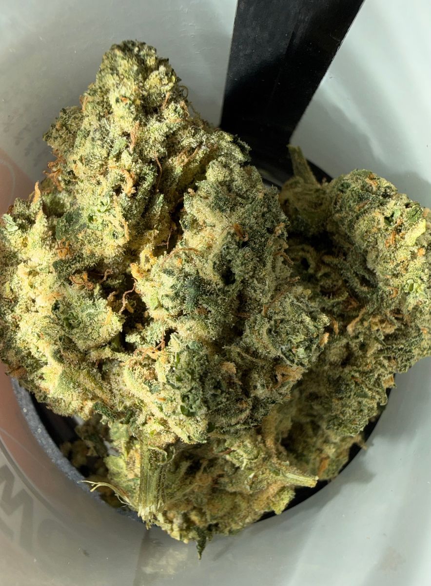 Shotgun Wedding strain