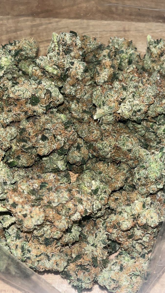 Maine Trees Thugs Breath