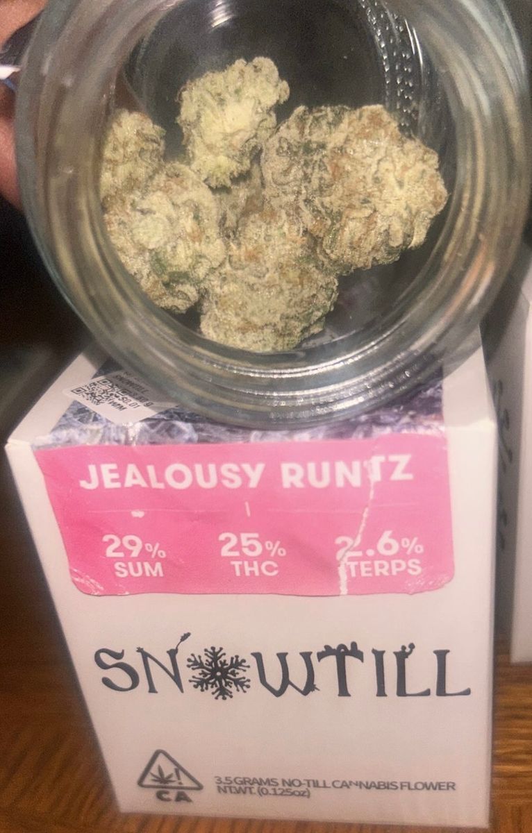 Jealousy Runtz strain