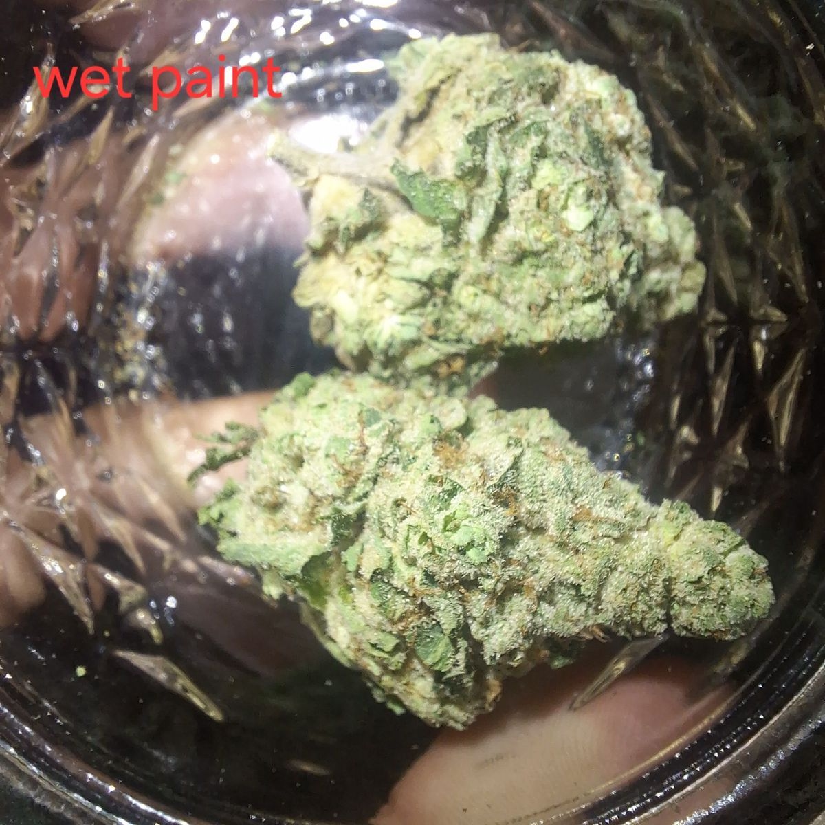Heavy Weight Heads: Og Hurricane