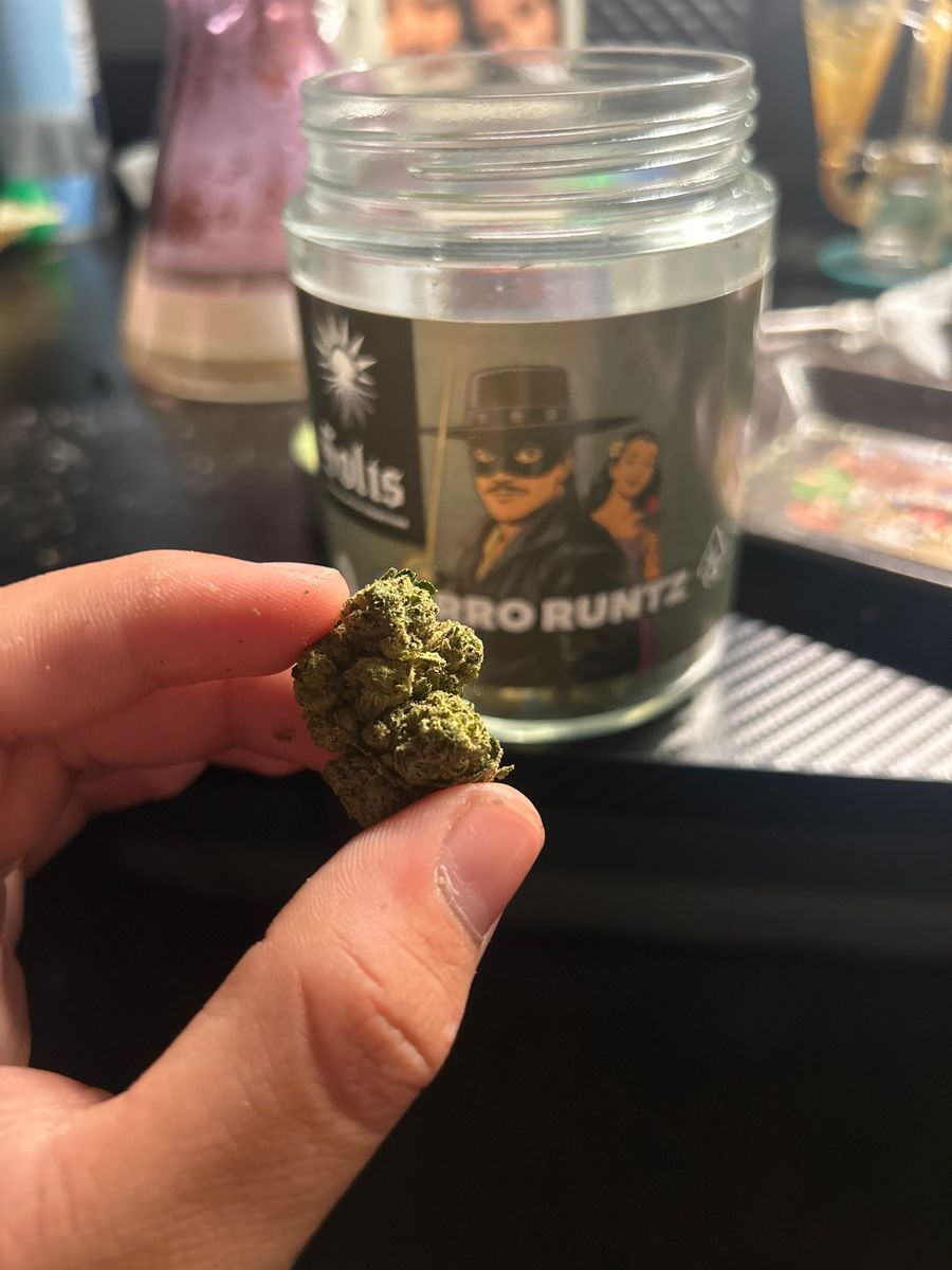 Zorro Runts strain