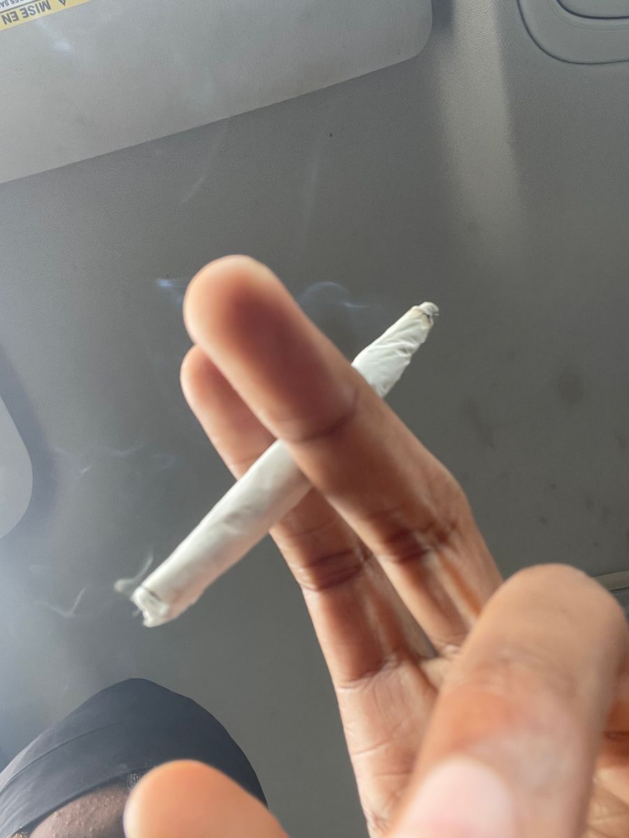 Habitat Jet Fuel Gelato Indica