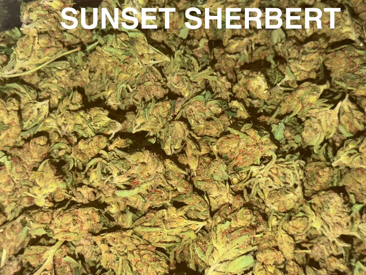 None Sunset Sherbet