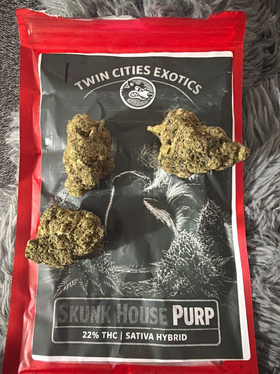 Skunk House Purp strain