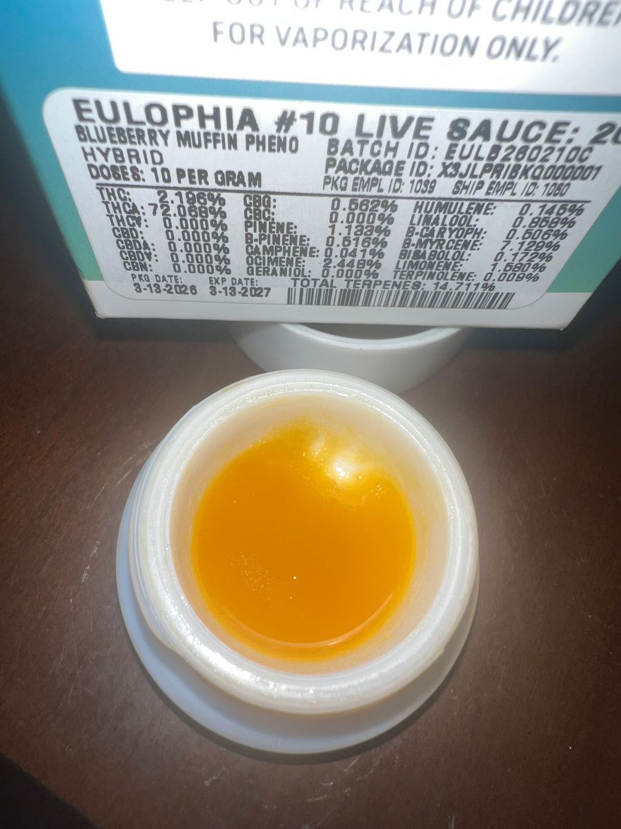 Eulophia #10 (Blueberry Muffin Pheno) strain