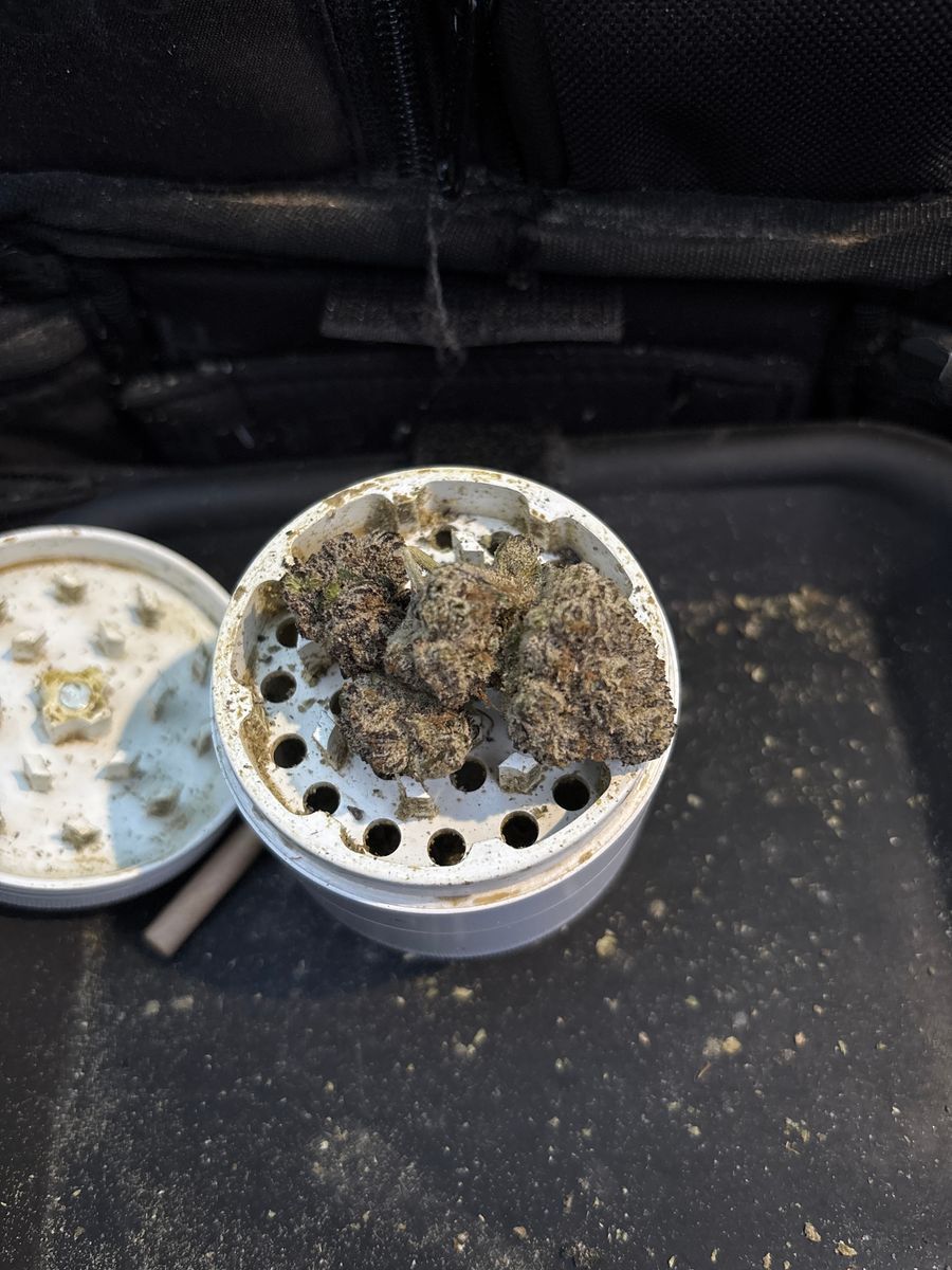 King Candy strain