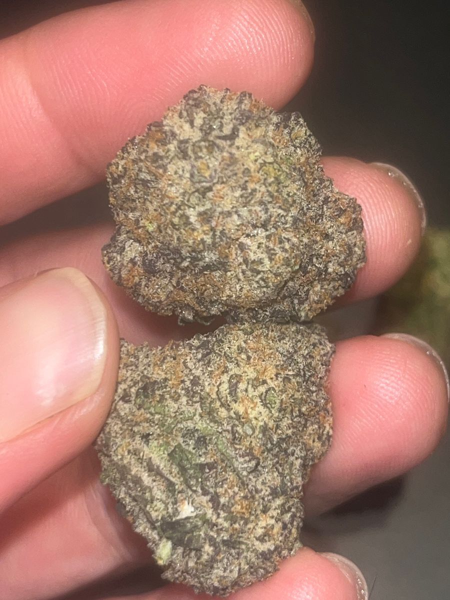 Oreoz strain