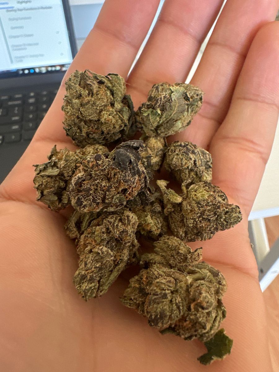 Twigz Crunch Berry
