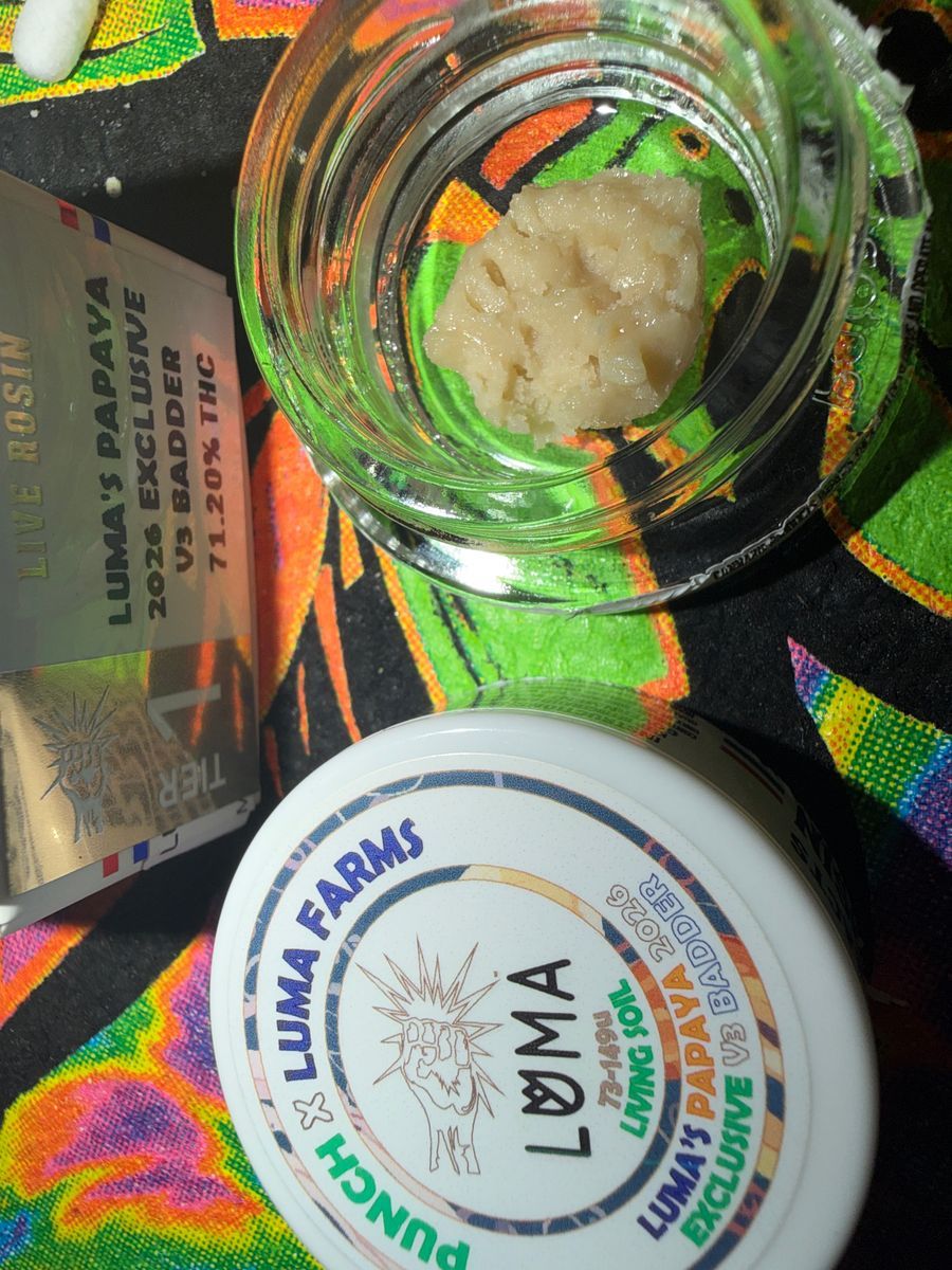 Lumas Papaya 2026 Exclusive V3 Live Rosin Badder strain