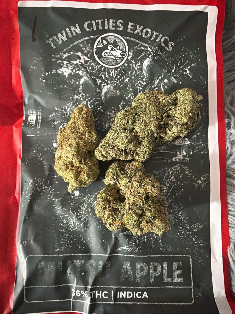 Mutsu Apple strain
