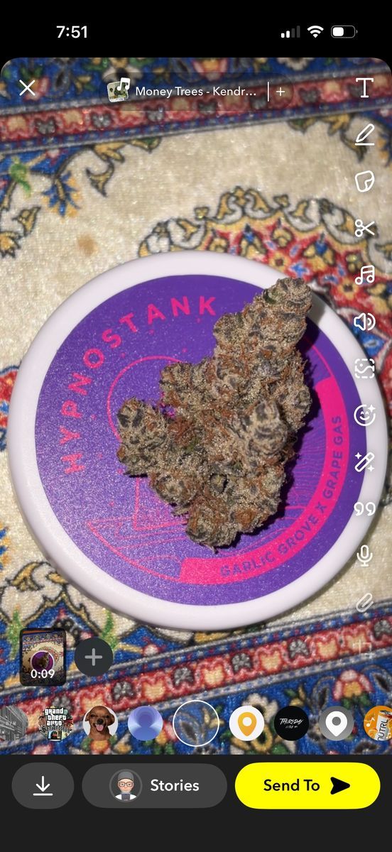 Michigrown Hypnostank