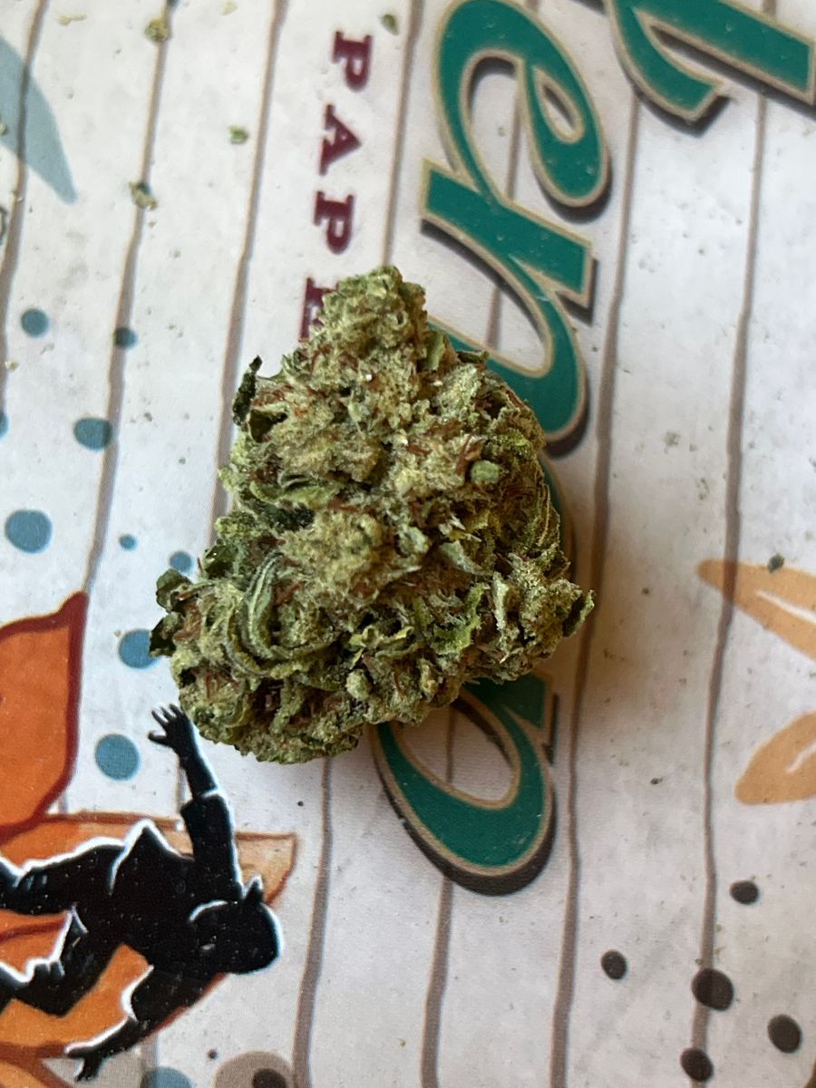 Coastal Sun Papaya Bomb