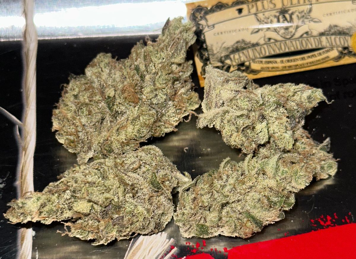 Honey D strain