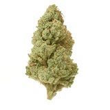 Purple Tangie Thca strain