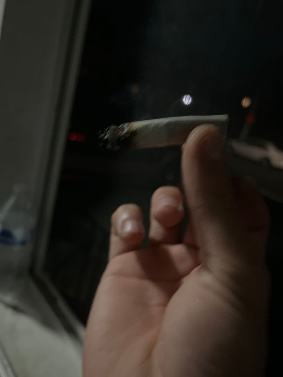 Zazafusion Boof Scotti