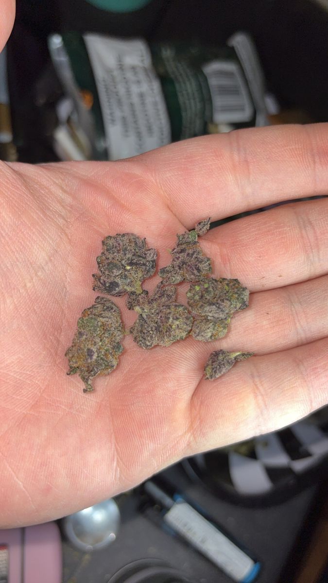 Dark Queen strain