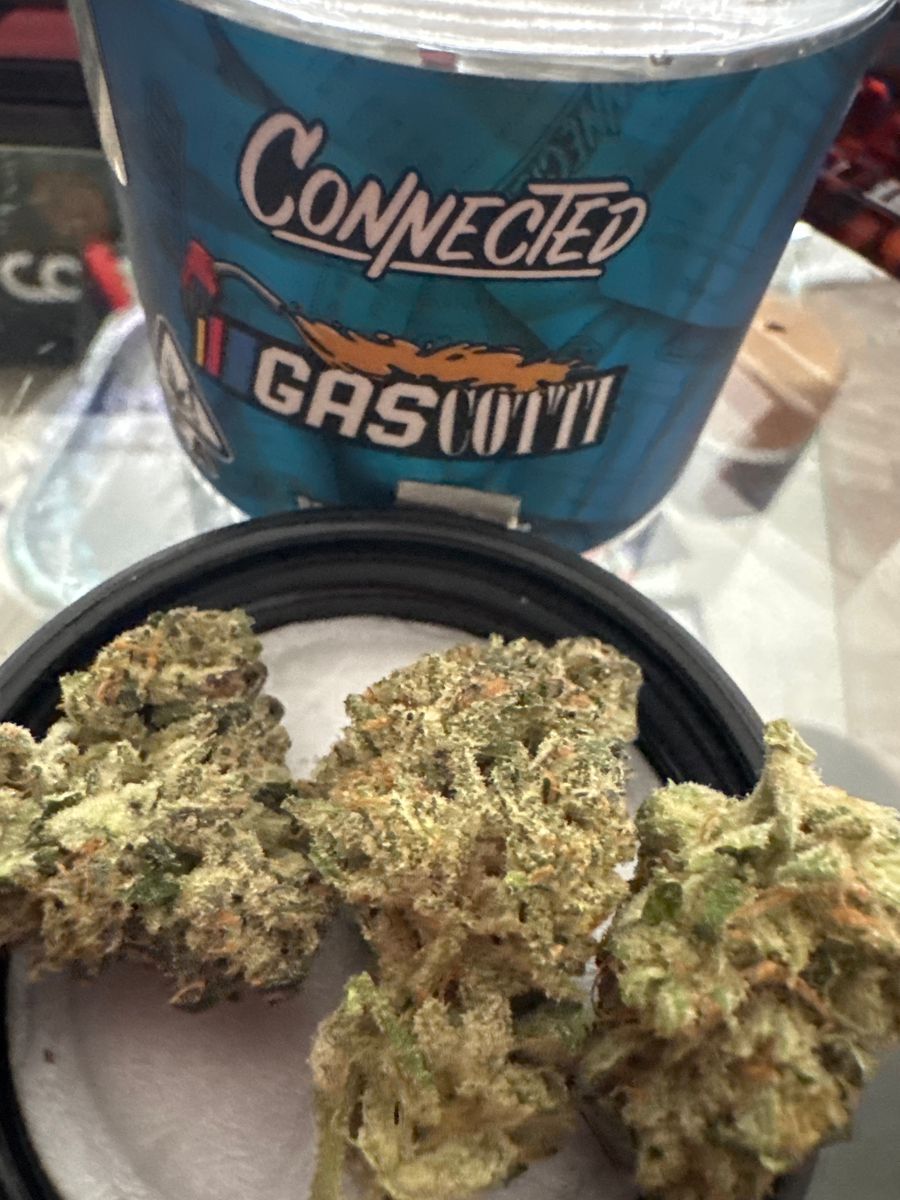 Gascotti strain