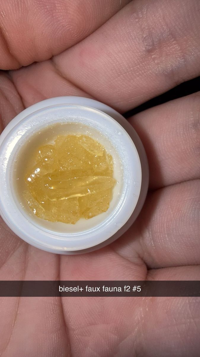 Faux Fauna F2 #5 strain