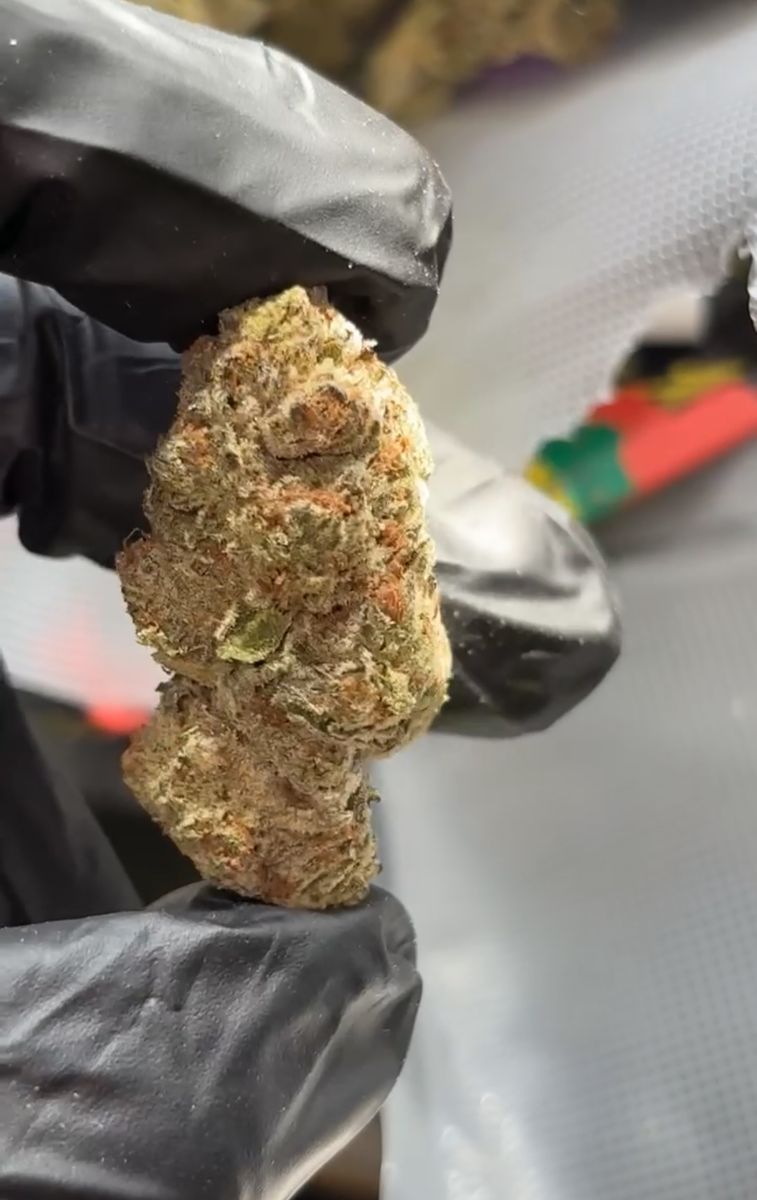 Candy Apple X Zkittlez strain