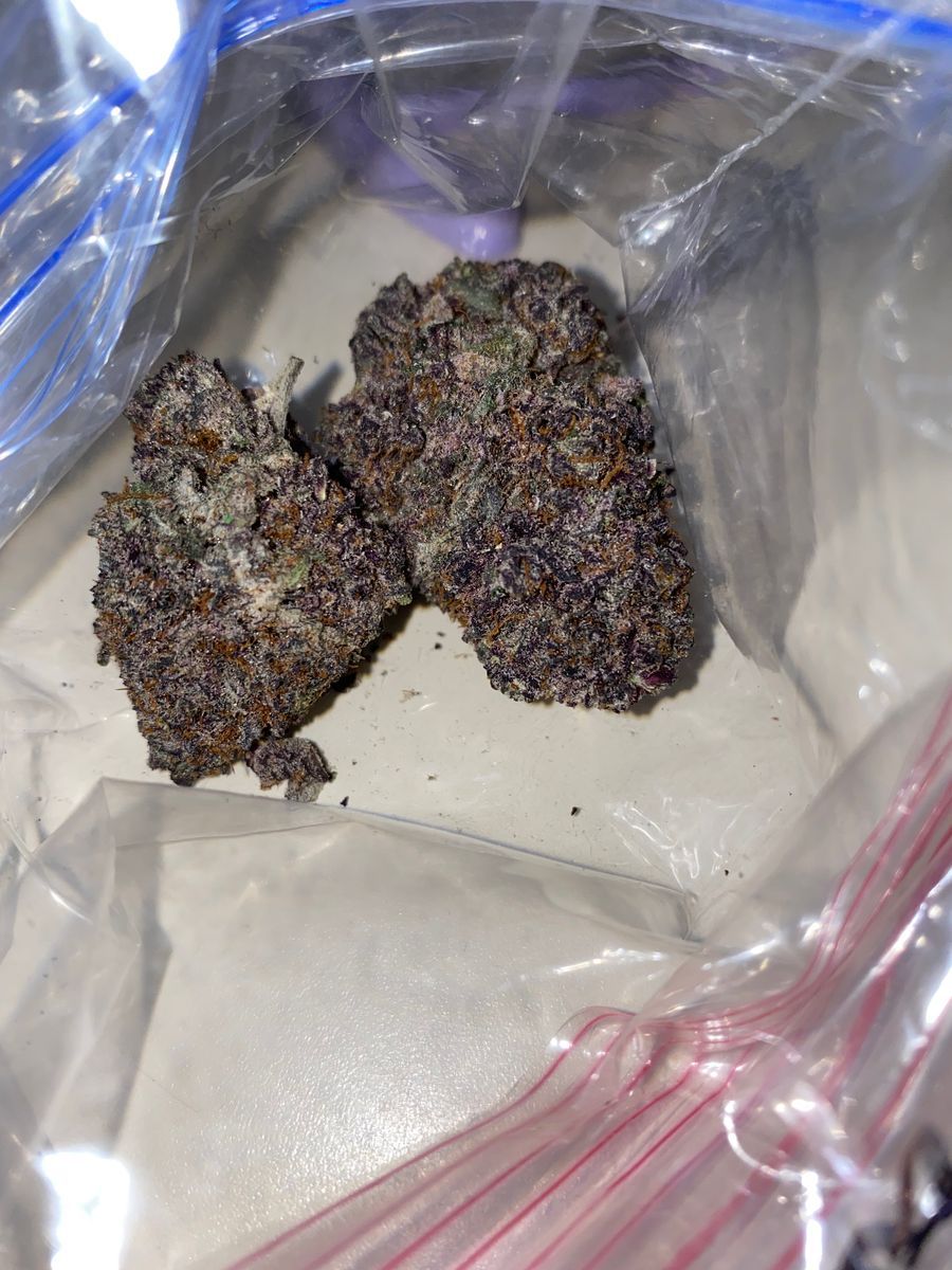 Purple Nerds Purple Nerds