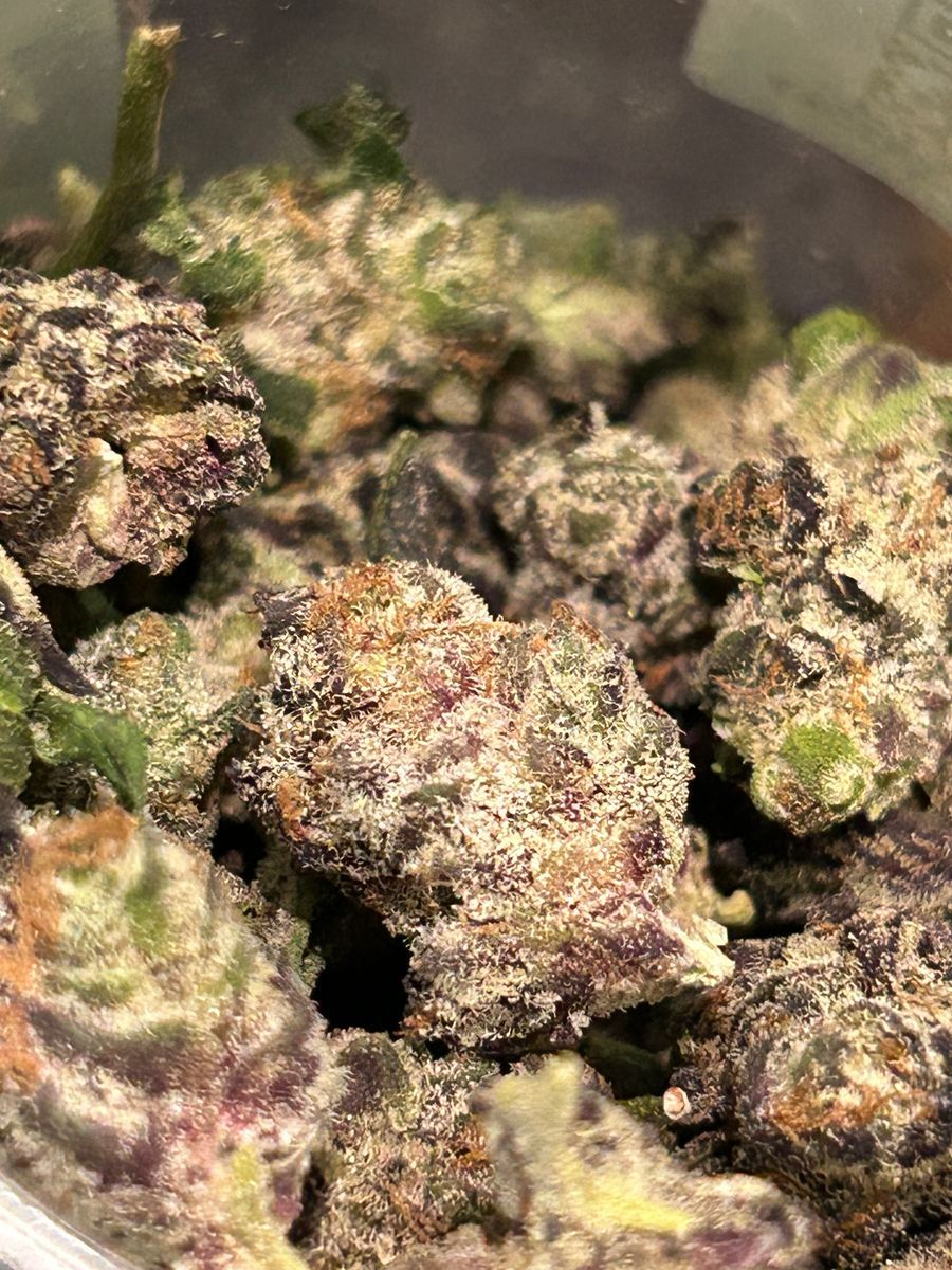 Butter Face strain