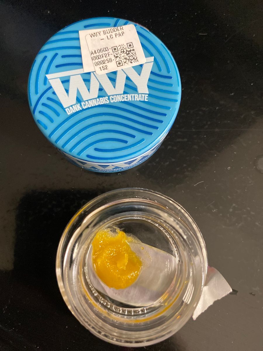 Lemon Cherry Papaya strain