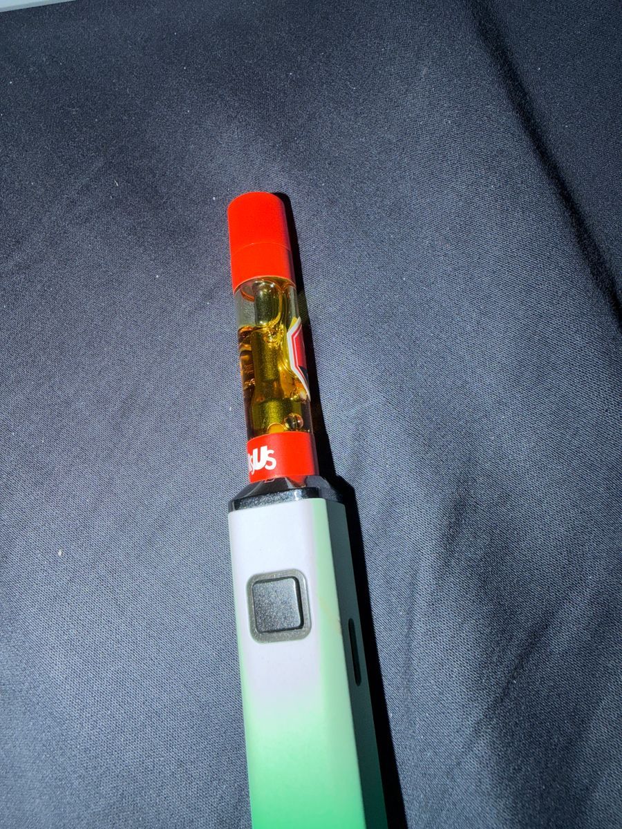 Versus Watermelon Z