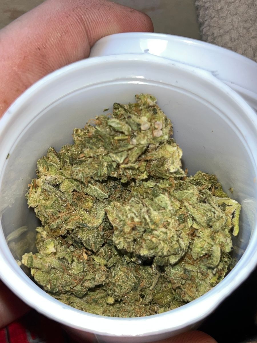 Smoke Proper Farms Chili Verde