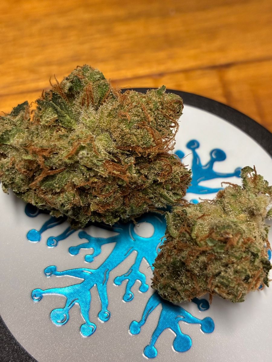 Grape Jack strain