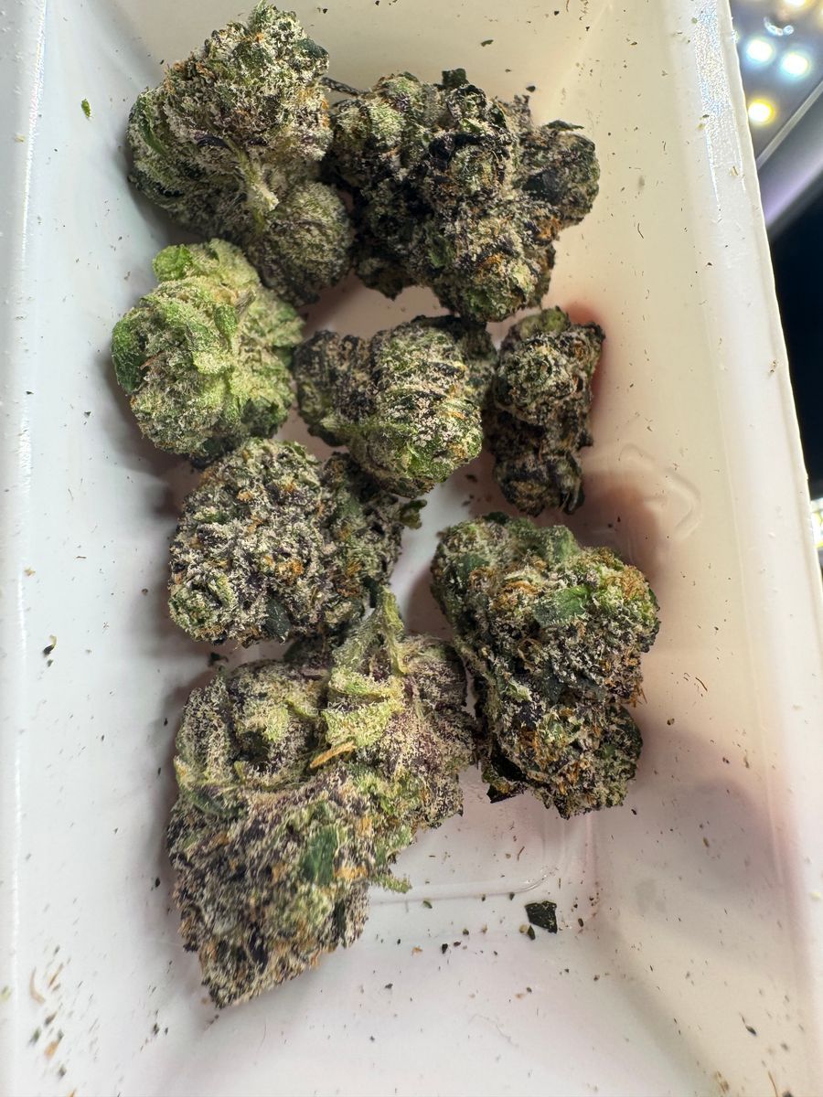 Permanent Runtz strain