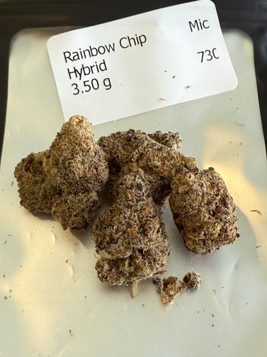 Rainbow Chip strain
